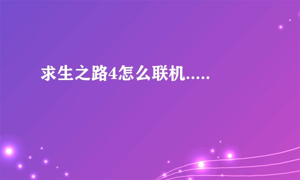 求生之路4怎么联机.....
