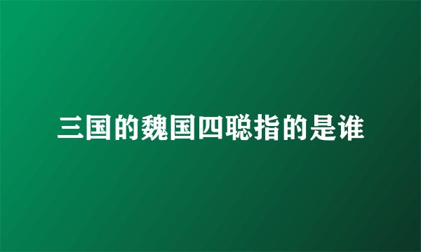三国的魏国四聪指的是谁