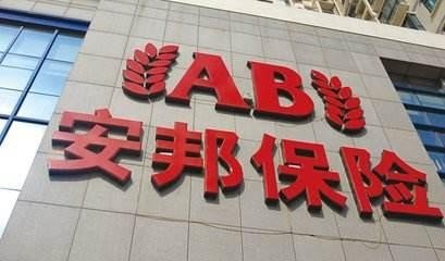 安邦保险是什么性质的公司？