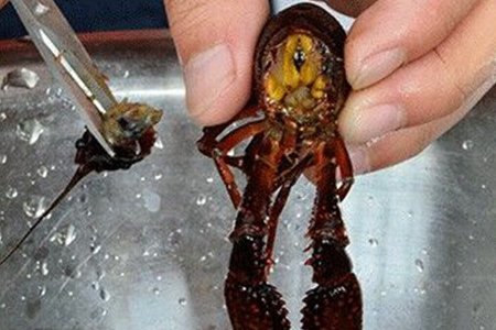 最正宗的油焖大虾应该怎么做?