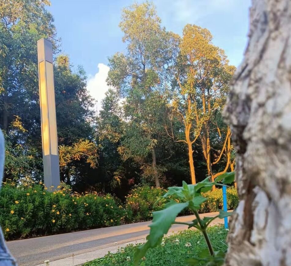 玉溪师范学院怎么样