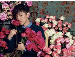 胡歌微博沦陷几次了？