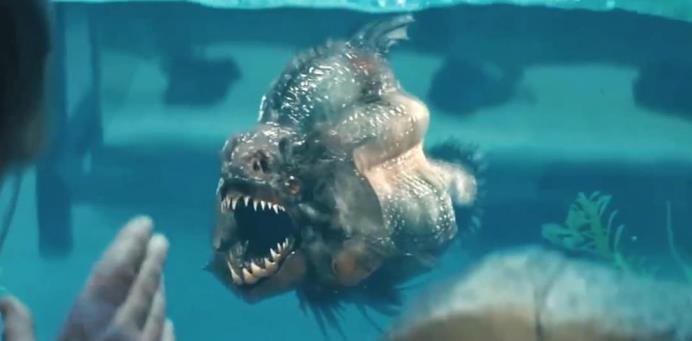 目前已知的最大食人鱼有大呢?咬合力怎样呢?