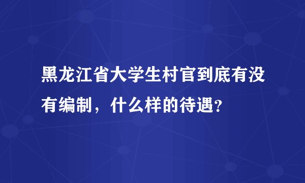 黑龙江省大学生村官到底有没有编制，什么样的待遇？