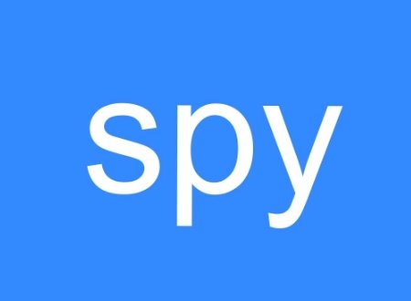 spy是什么意思