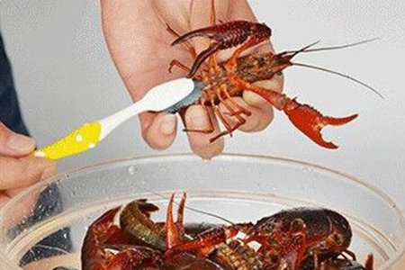 最正宗的油焖大虾应该怎么做？