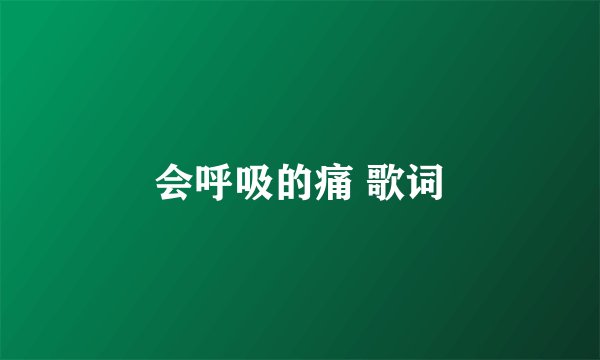 会呼吸的痛 歌词