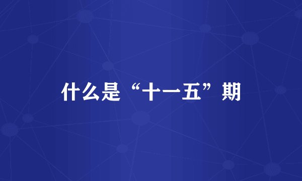 什么是“十一五”期