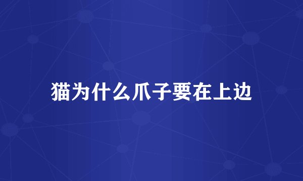 猫为什么爪子要在上边