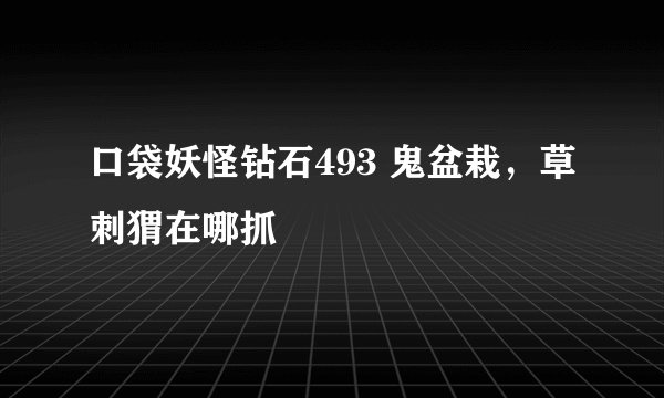 口袋妖怪钻石493 鬼盆栽，草刺猬在哪抓