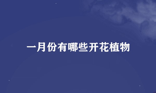 一月份有哪些开花植物
