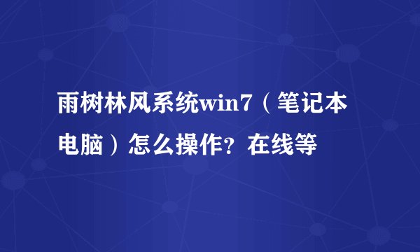 雨树林风系统win7（笔记本电脑）怎么操作？在线等