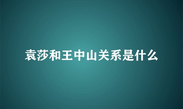 袁莎和王中山关系是什么