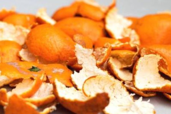 果皮的作用是什么?