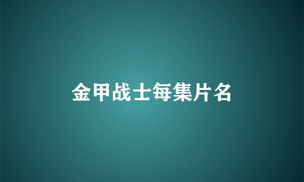 金甲战士每集片名