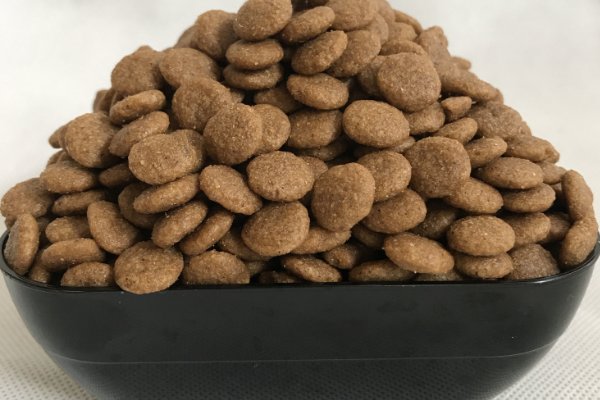 泰迪狗粮品牌排行是怎样的?吃哪款对狗狗好?