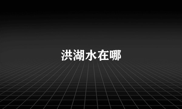 洪湖水在哪