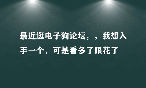 最近逛电子狗论坛，，我想入手一个，可是看多了眼花了