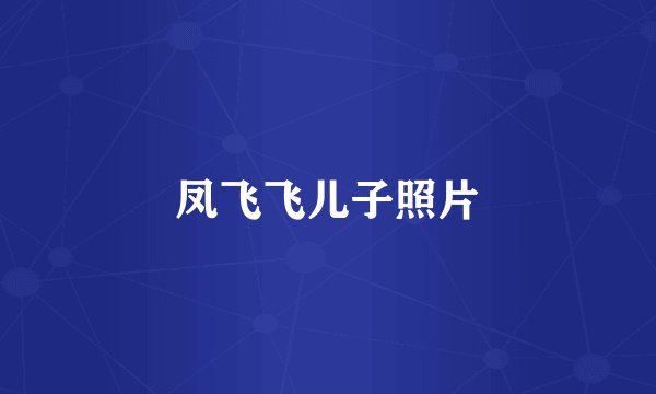 凤飞飞儿子照片