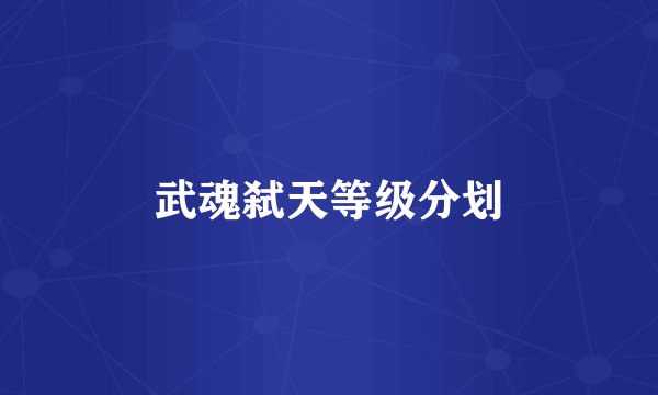 武魂弑天等级分划