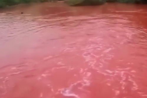 广西百色乐里河一夜变成血红色，为何会出现这种现象？