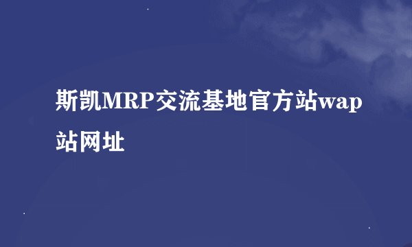 斯凯MRP交流基地官方站wap站网址