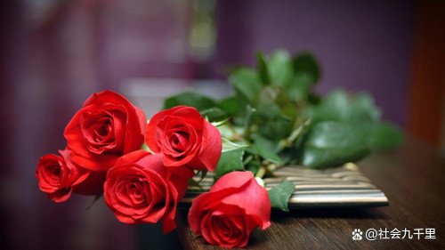 三八妇女节快到了,该送什么礼物给妈妈和女朋友呢?