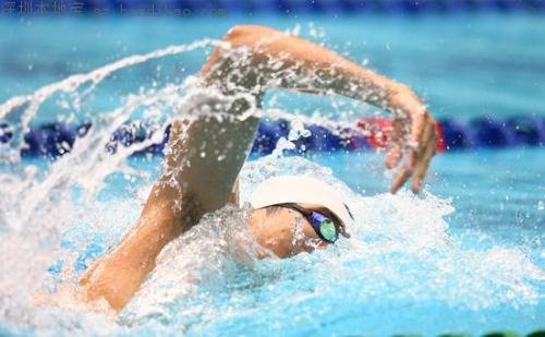 游泳比赛规则什么?