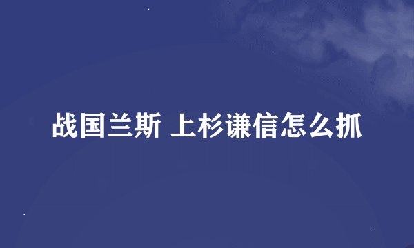 战国兰斯 上杉谦信怎么抓