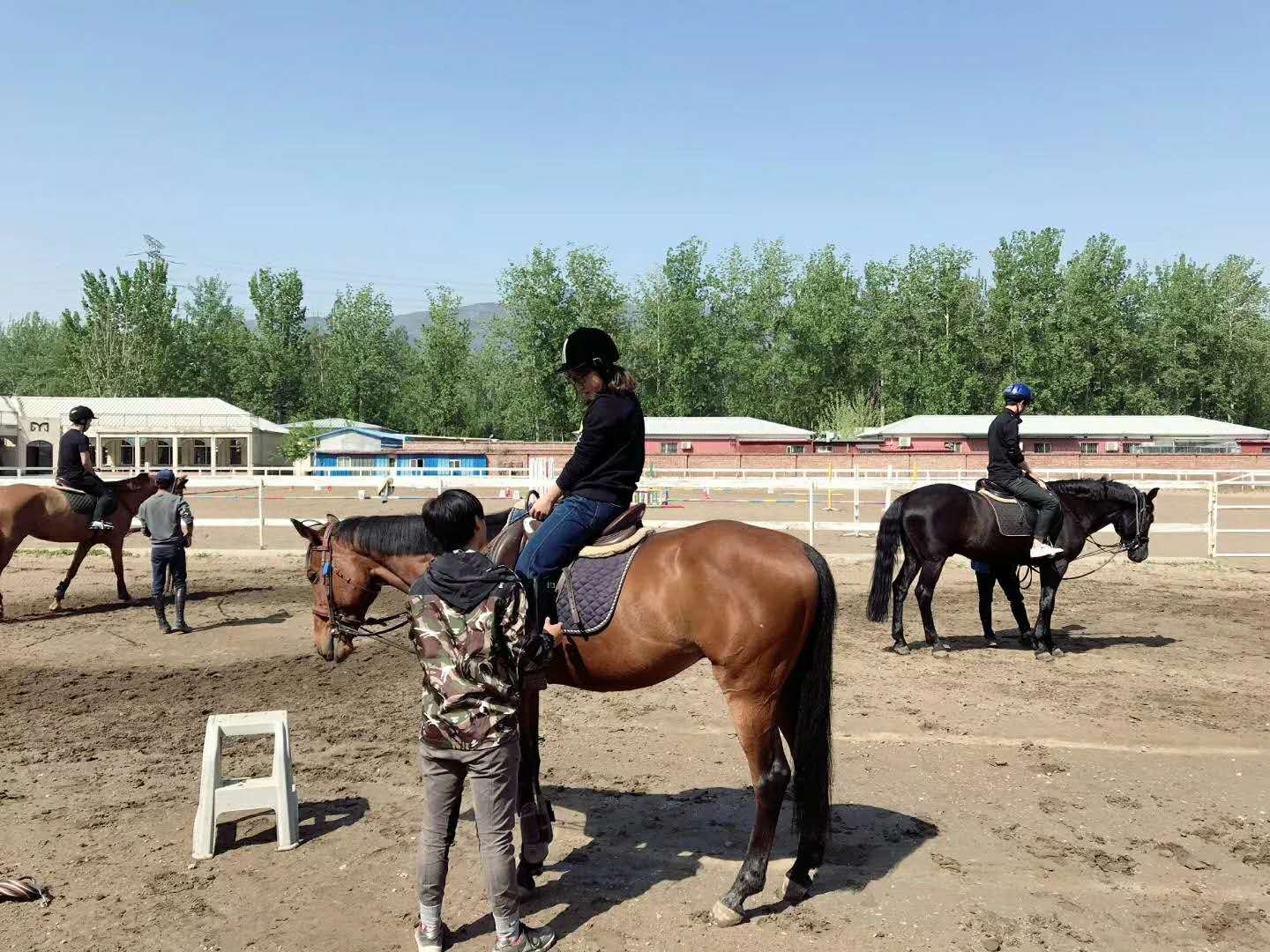 中国农业大学有哪些教授的课是必须要去蹭的?