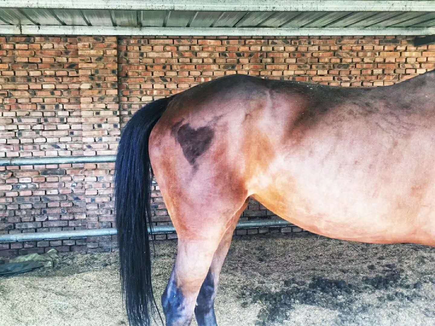 中国农业大学有哪些教授的课是必须要去蹭的?