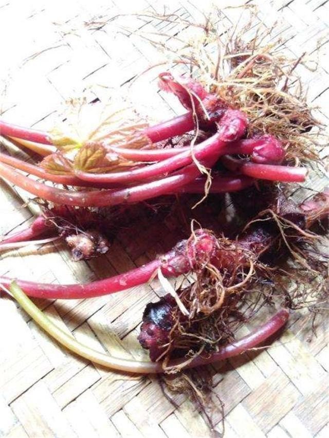 肛门流血是怎么回事