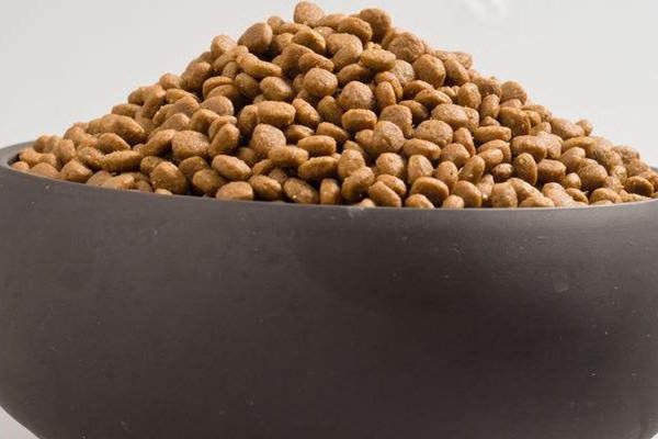 泰迪狗粮品牌排行是怎样的?吃哪款对狗狗好?