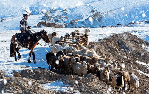 牧羊人连救六名越野赛选手,窑洞生火取暖,这种做法是否正确?