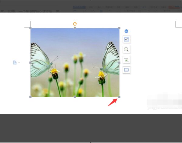 word如何裁剪图片