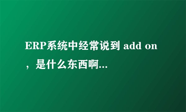 ERP系统中经常说到 add on ，是什么东西啊？菜鸟提问