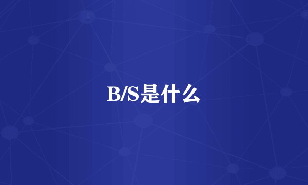 B/S是什么