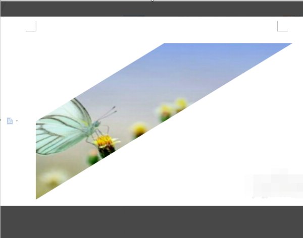 word如何裁剪图片