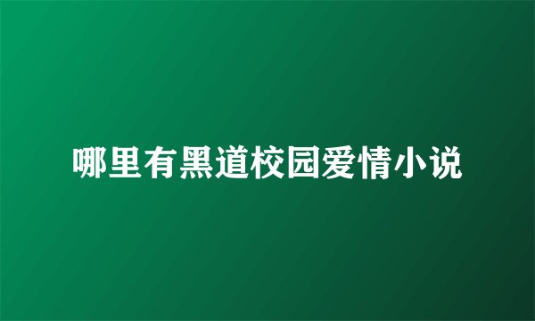 哪里有黑道校园爱情小说