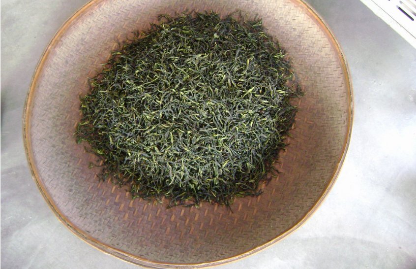 喝单枞茶的好处和坏处