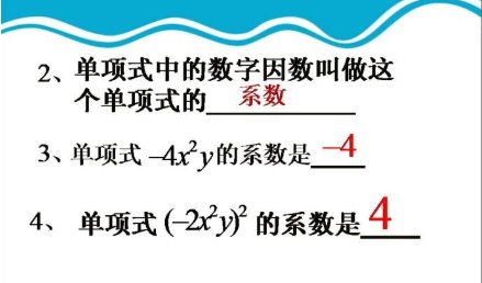 什么是单项式？