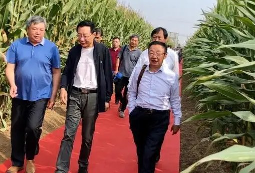 网传专家踩地毯考察玉米地，会务部回应：并非地毯！为何大家揪着此事不放？