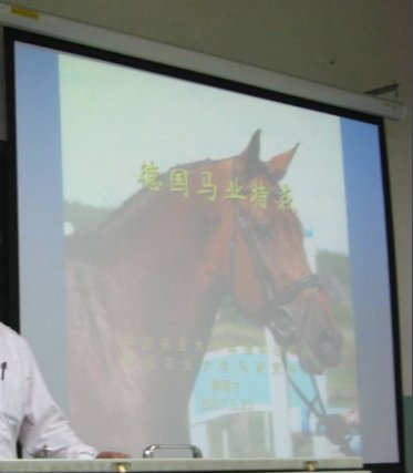 中国农业大学有哪些教授的课是必须要去蹭的?