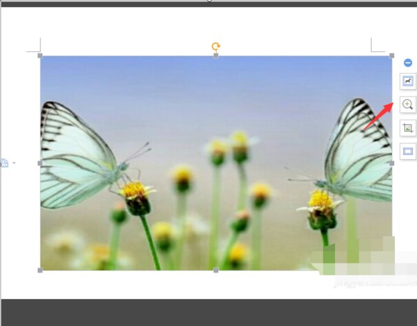 word如何裁剪图片