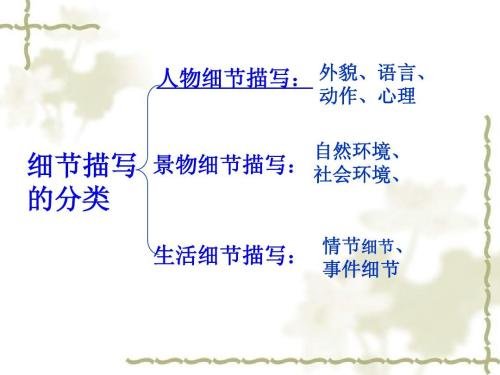 细节描写有哪些