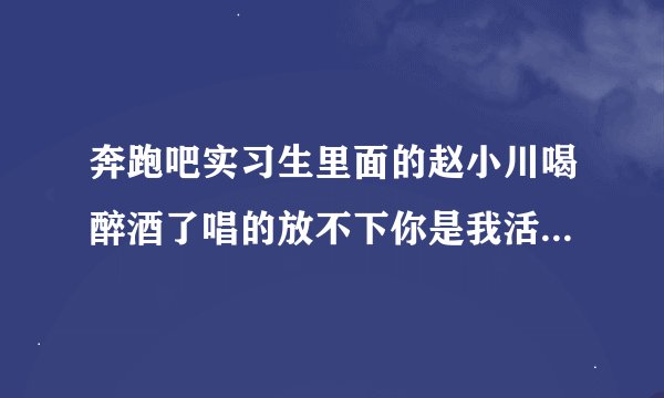 奔跑吧实习生里面的赵小川喝醉酒了唱的放不下你是我活该是什么歌