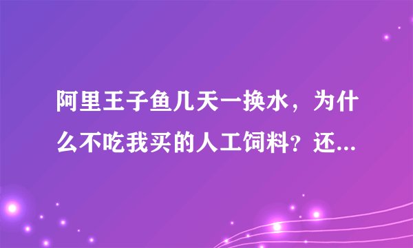 阿里王子鱼几天一换水，为什么不吃我买的人工饲料？还有，它这是缺氧了吗？怎么办？