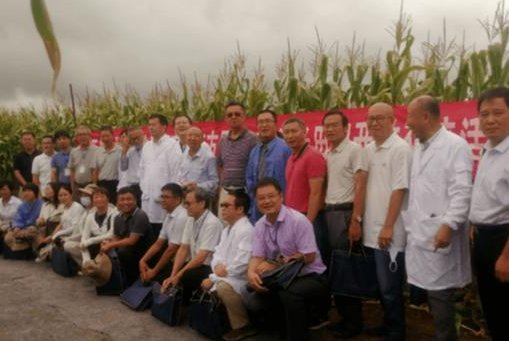 网传专家踩地毯考察玉米地，会务部回应：并非地毯！为何大家揪着此事不放？