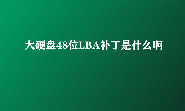 大硬盘48位LBA补丁是什么啊