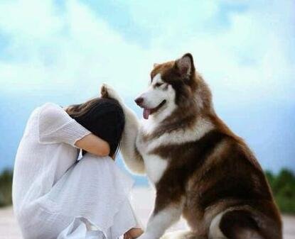 一个人很乖,很听话是优点吗?